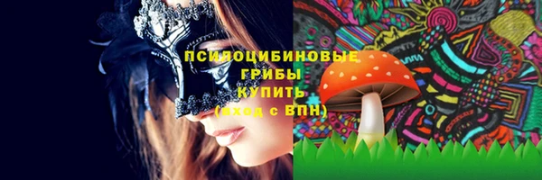 винт Ладушкин