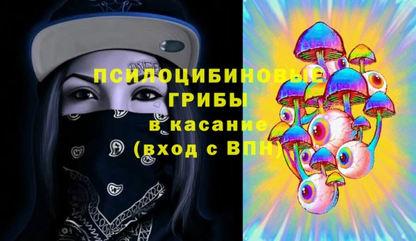 винт Ладушкин