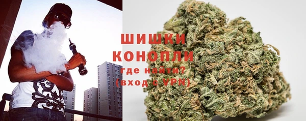 ПСИЛОЦИБИНОВЫЕ ГРИБЫ Лабытнанги