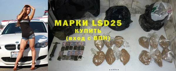 ПСИЛОЦИБИНОВЫЕ ГРИБЫ Лабытнанги