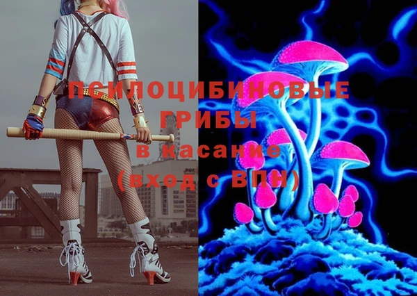 винт Ладушкин