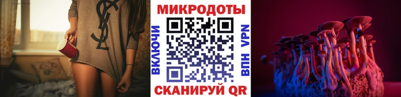 Галлюциногенные грибы Psilocybine cubensis  Купить закладки  Шелехов 